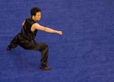 Nederlandse Wushu competition Kung Fu vorm 2007