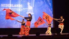 Xia Quan Kung Fu flags