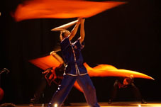 Theater "De Doelen": Leeuwendans, Kung Fu & Tai Chi show